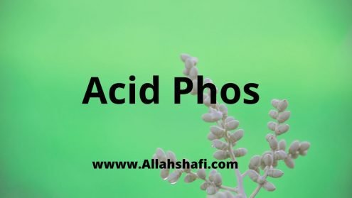 acid phos