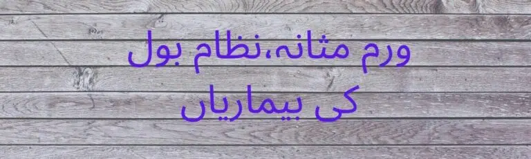 مثانہ،نظام بول کی بیماریاں