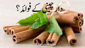 دارچینی کتنی قسم کی ہوتی ہے؟ فوائد، استعمال اور احتیاطیں NASA دارچینی کتنی قسم کی ہوتی ہے اور اس کے فوائد کیا ہیں؟