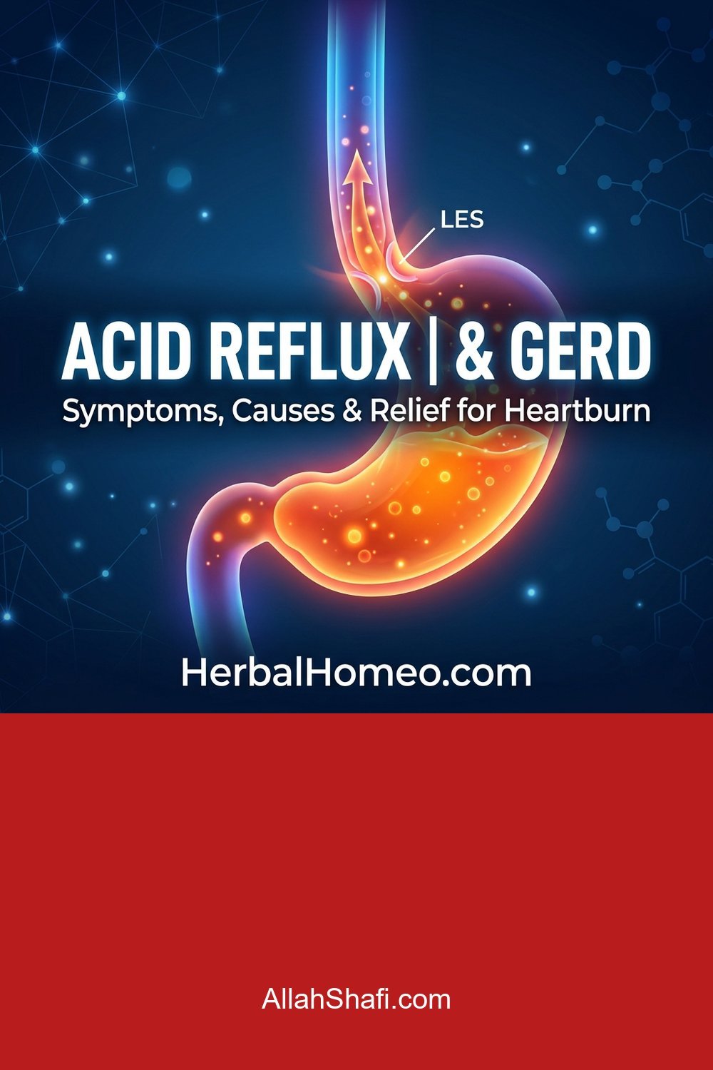 معدے کی تیزابیت (GERD) اور سینے کی جلن کا علاج معدے کی تیزابیت اور سینے کی جلن کا علاج gerd urdu pin