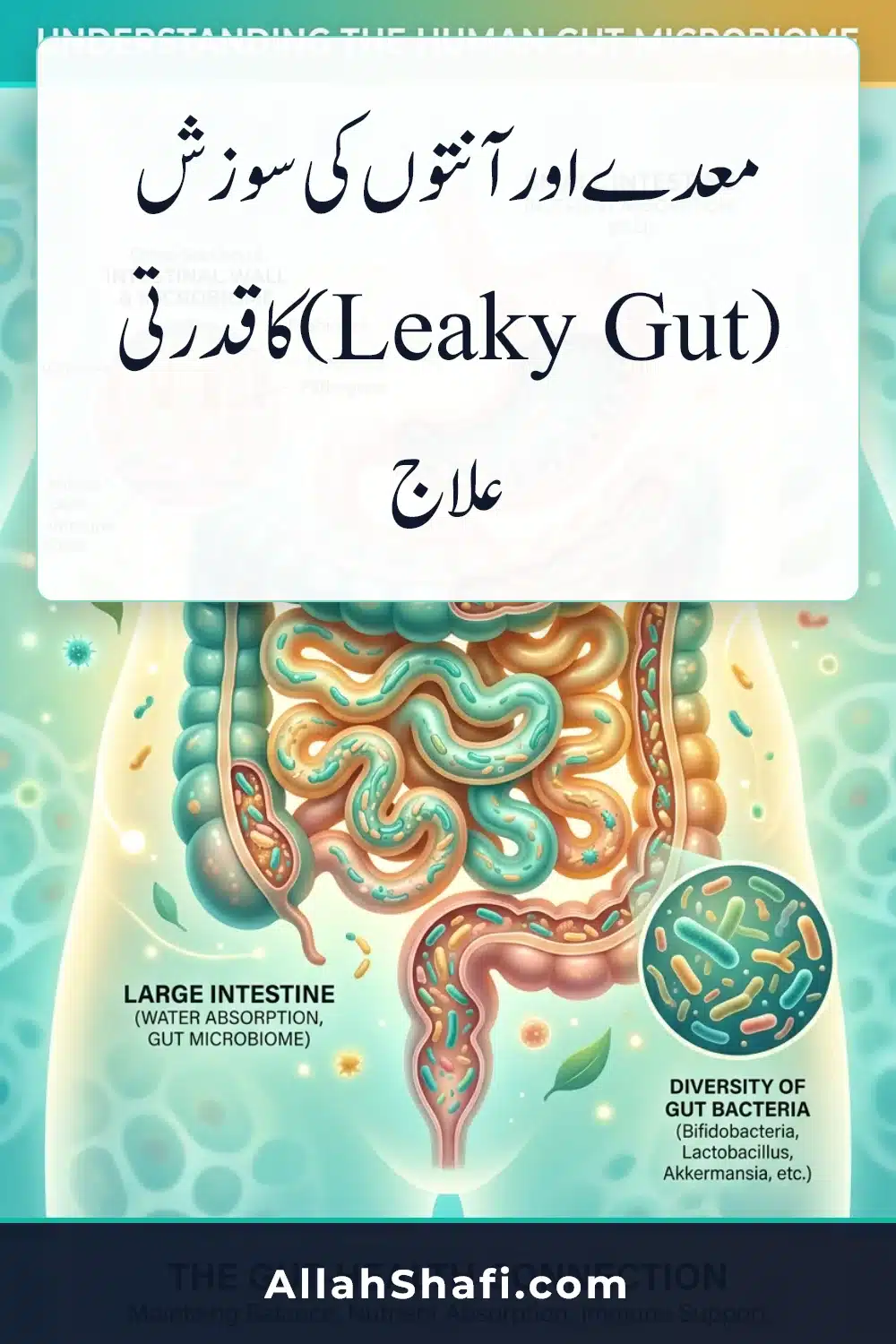 Leaky Gut Syndrome Urdu Treatment infographic pin