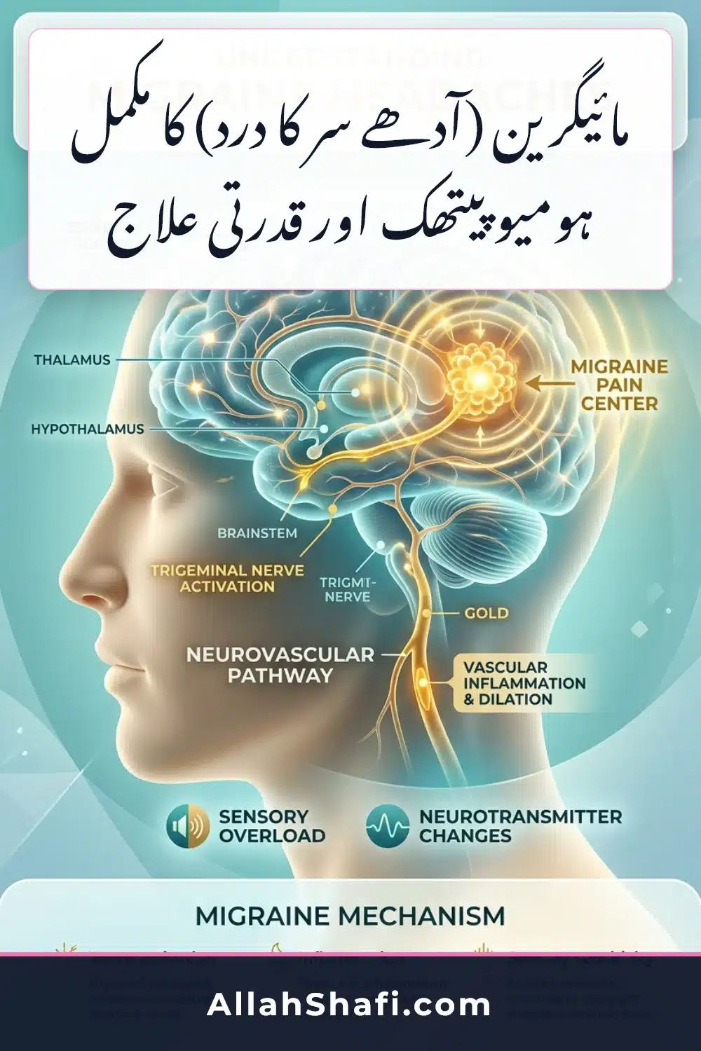 Migraine urdu treatment infographic pin
