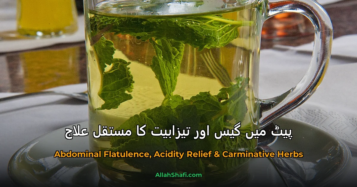پیٹ میں گیس اور تیزابیت کا مستقل علاج