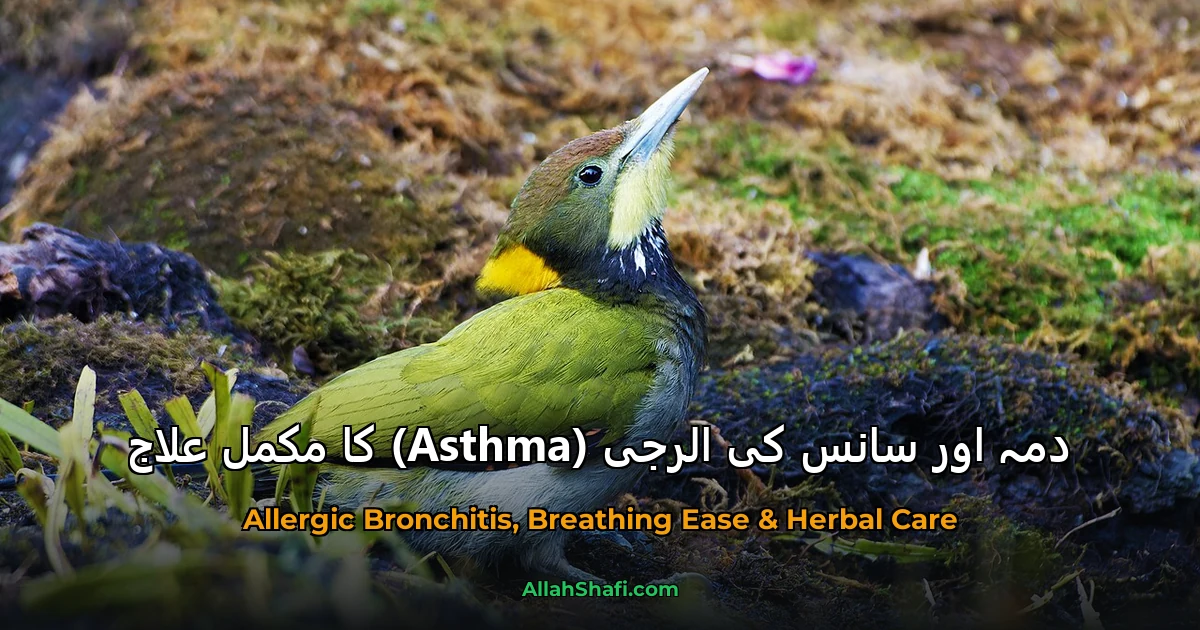 دمہ اور سانس کی الرجی (Asthma) کا مکمل علاج