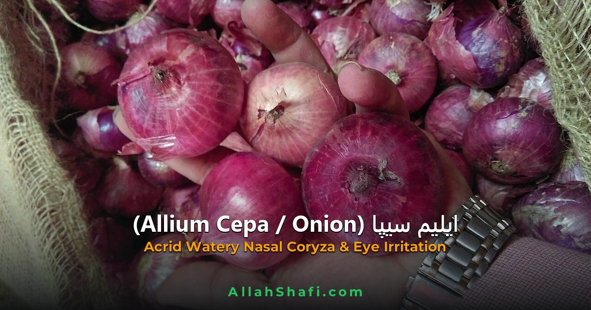 ایلیم سیپا (Allium Cepa) — مکمل ہومیوپیتھک گائیڈ | علامات، موڈیلٹیز، خوراک اور ادویاتی تعلقات