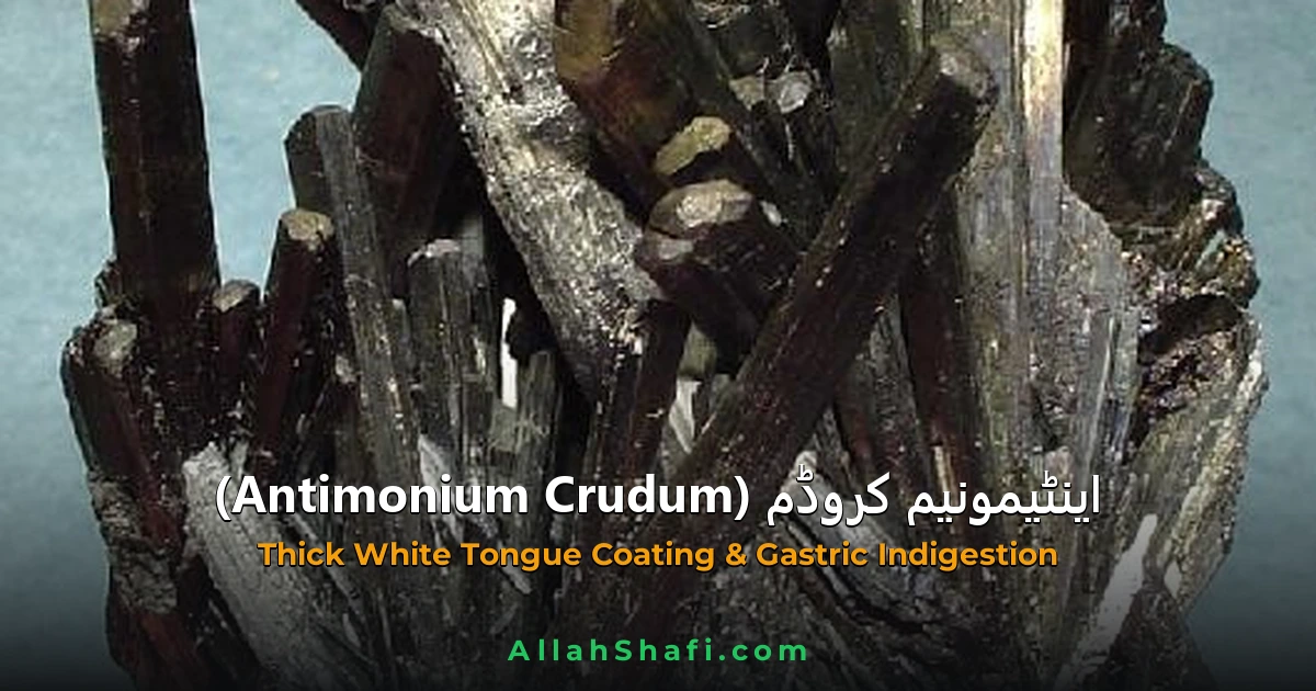 اینٹیمونیم کروڈم (Antimonium Crudum) — ہومیوپیتھک دوا کا مکمل تعارف