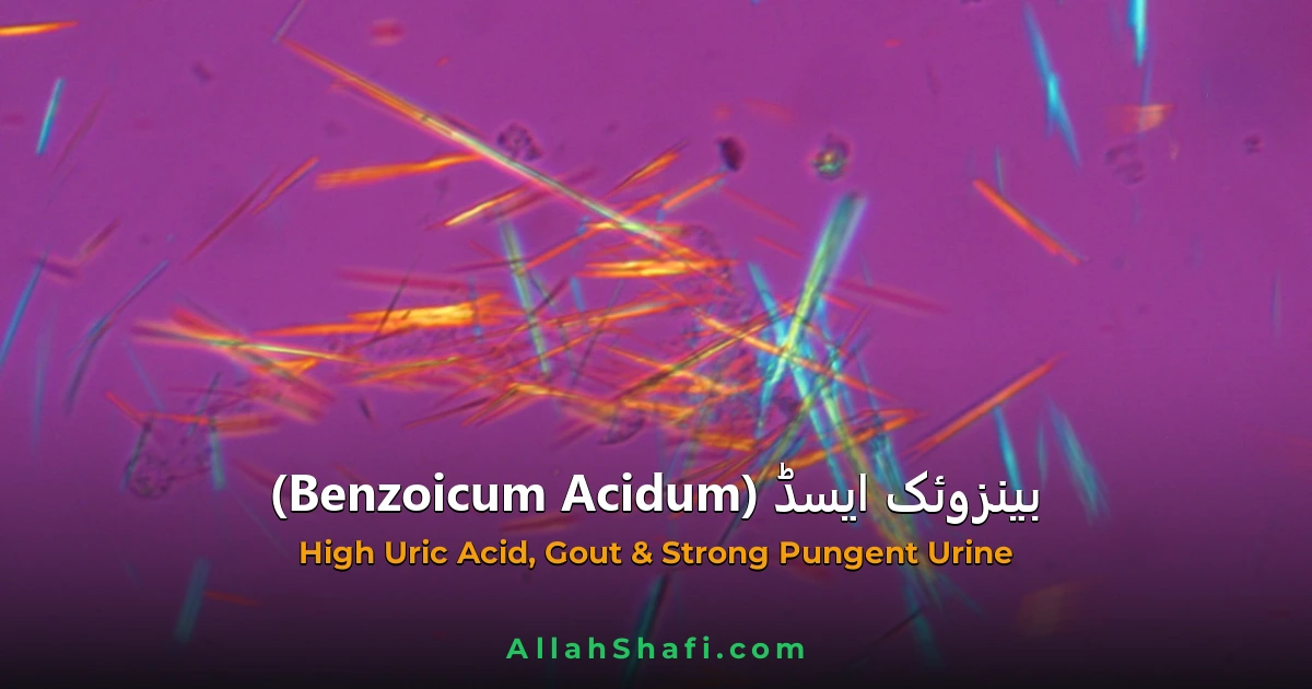 Benzoicum Acidum (Benzoicum Acidum) — ہومیوپیتھک دوا کا مکمل تعارف