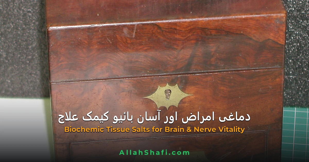 دماغی امراض، اعصابی علامات اور آسان بائیوکیمک علاج — مکمل طبی گائیڈ
