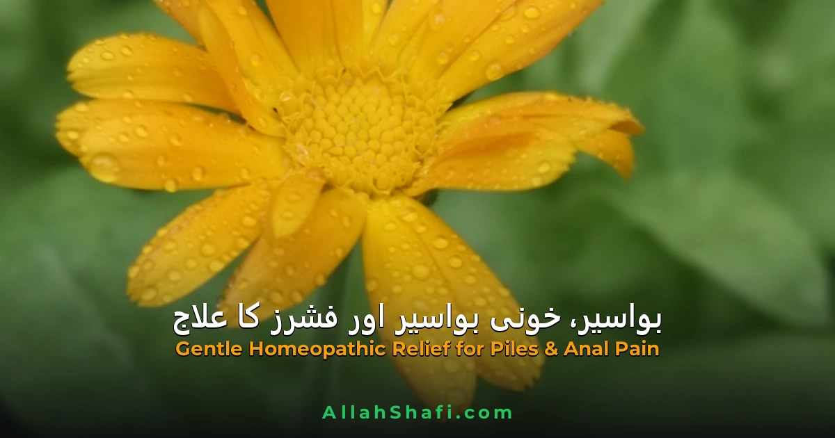 بواسیر،خونی بواسیر،فشرز اور اس میں استعمال ہونے والی ہومیوپیتھک ادویات