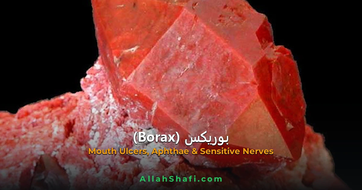 بوریکس (Borax) — ہومیوپیتھک دوا کا مکمل تعارف