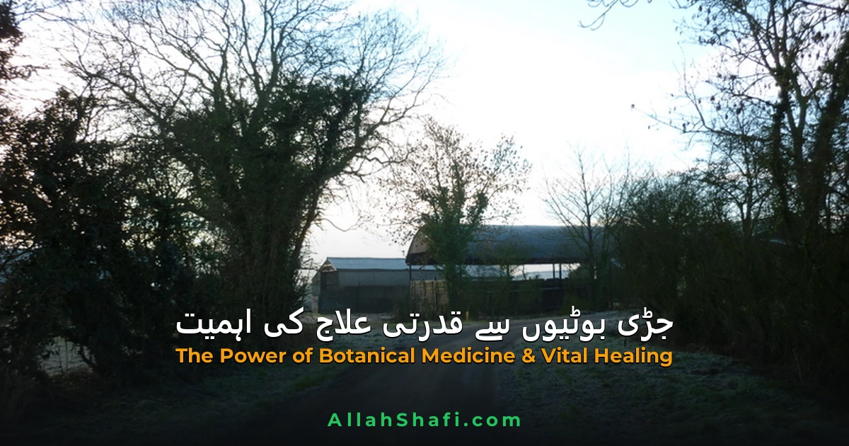 جڑی بوٹـیـوں سے قدرتی علاج کی اہمیت