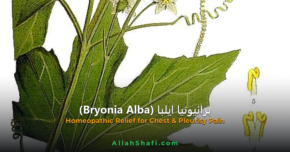 برائیونیا ایلبا (Bryonia Alba) — ہومیوپیتھک دوا کا مکمل تعارف