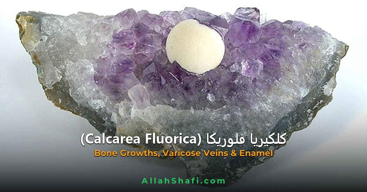 کلکیریا فلوریکا (Calcarea Fluorica) — ہومیوپیتھک دوا کا مکمل تعارف