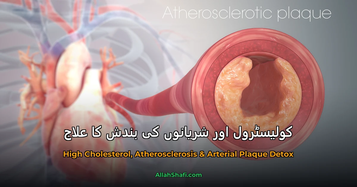 کولیسٹرول اور شریانوں کی صفائی کا ہومیوپیتھک علاج