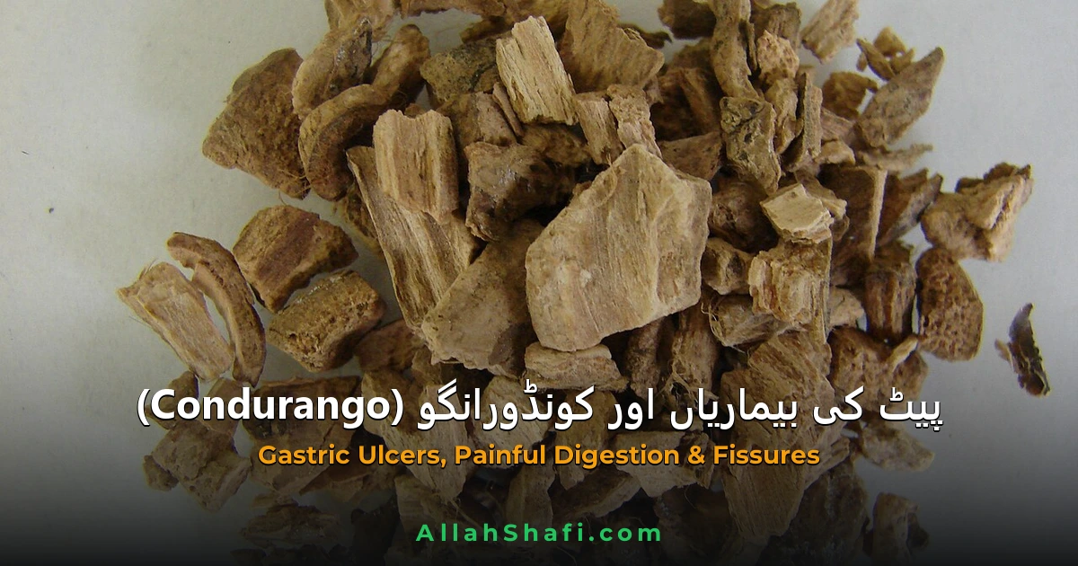پیٹ کی بیماریاں کا علاج   Condurango