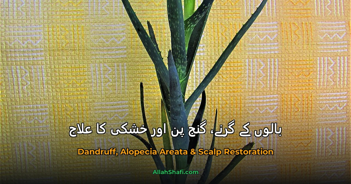 بالوں کے گرنے، گنج پن اور خشکی کا علاج