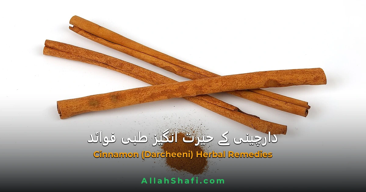 دارچینی (Cinnamomum Verum) — شوگر، کولیسٹرول، ہاضمہ اور جوڑوں کے درد کا ہربل علاج