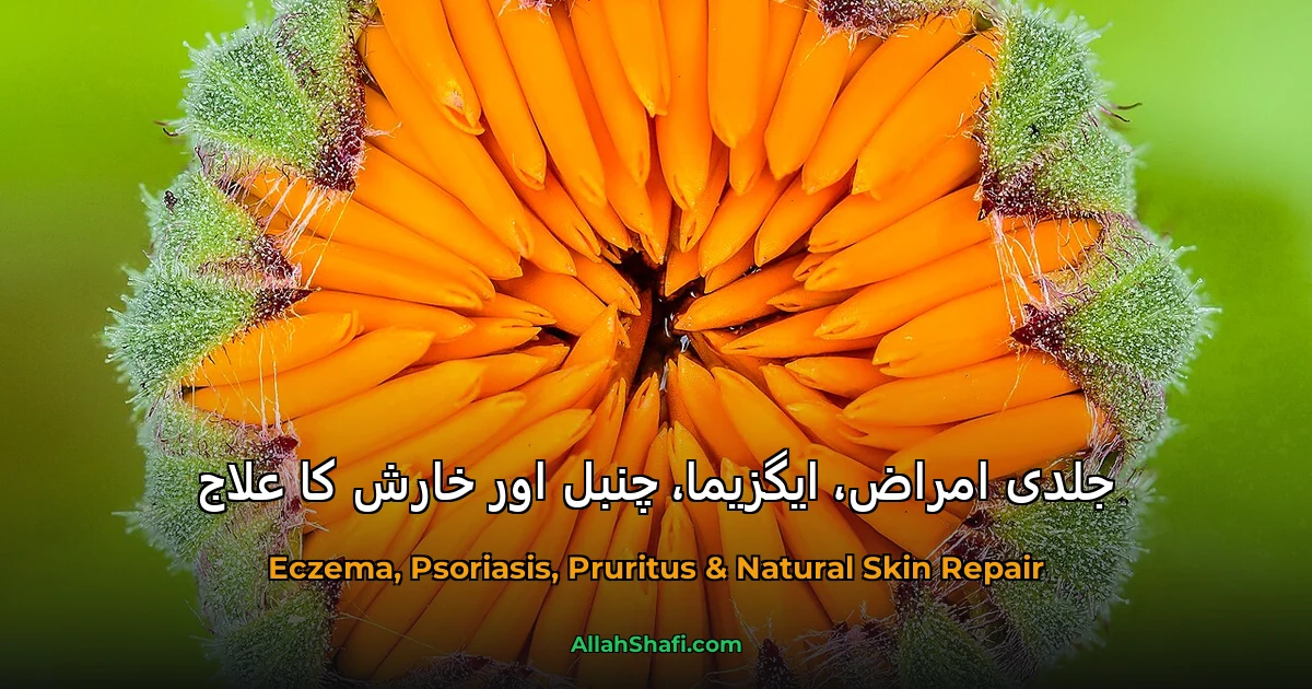 جلدی امراض، ایگزیما، چنبل اور خارش کا علاج