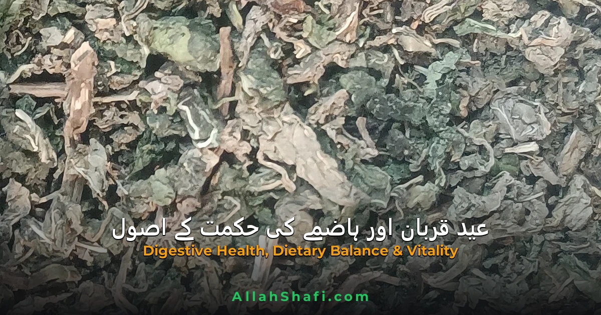 eid digestive health principles ur feat