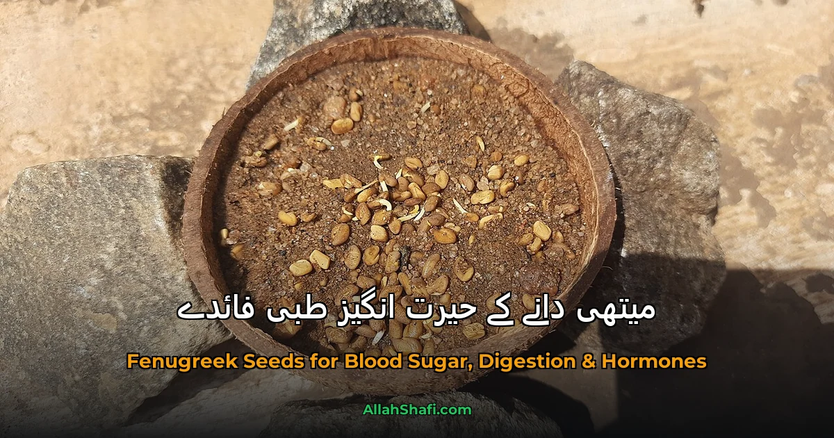 میتھی دانے کے حیرت انگیز طبی فائدے