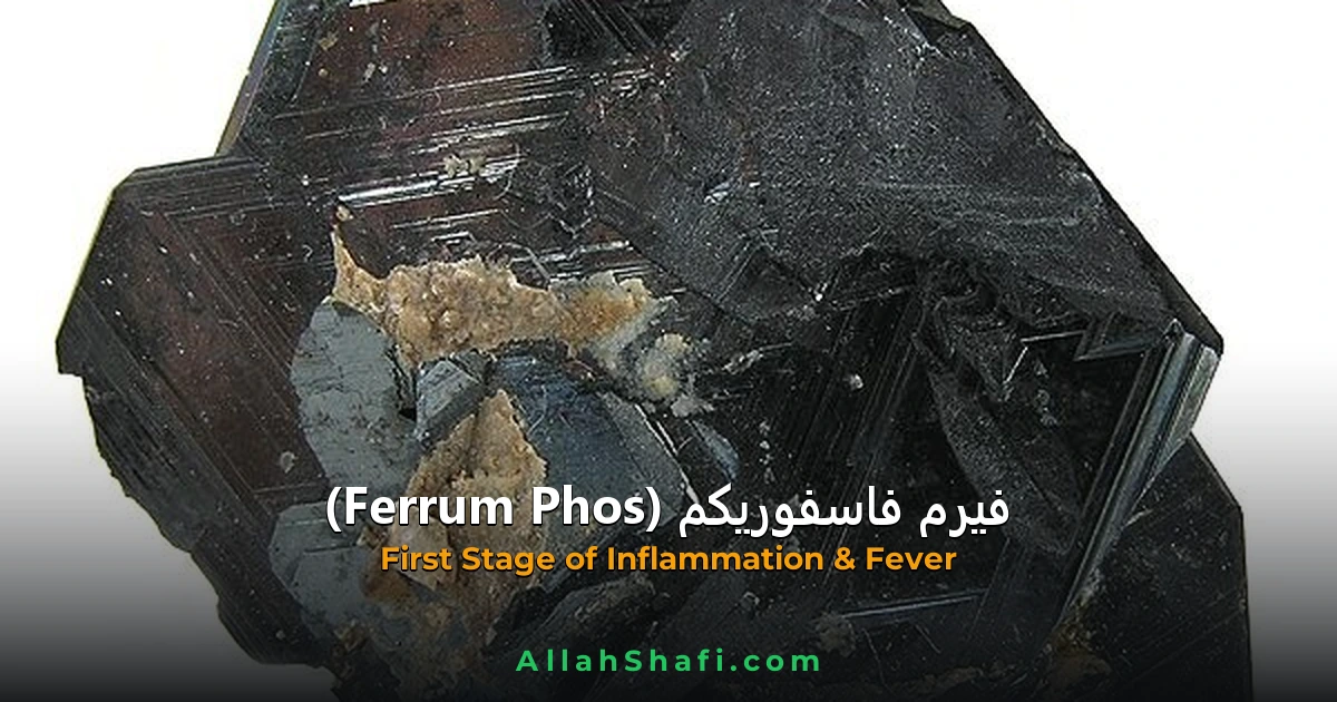 فیرم فاسفوریکم (Ferrum Phosphoricum) — ہومیوپیتھک دوا کا مکمل تعارف