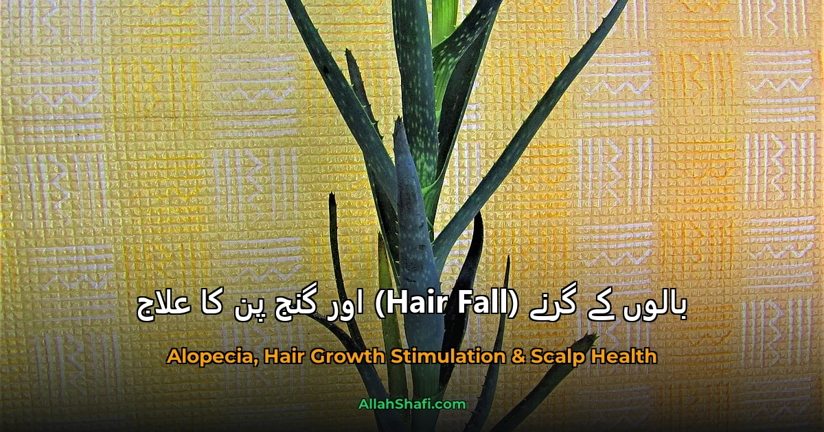 بالوں کے گرنے (Hair Fall) اور گنج پن کا علاج
