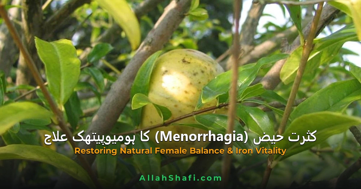 Heavy Menstrual Bleeding