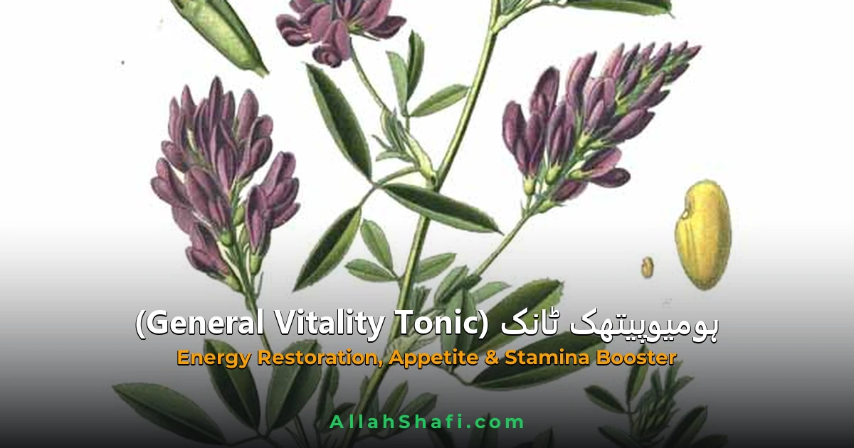 homeopathic vitality energy tonic ur feat