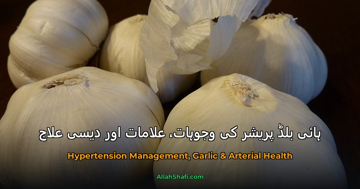 ہائی بلڈ پریشر کی وجوہات، علامات اور دیسی علاج
