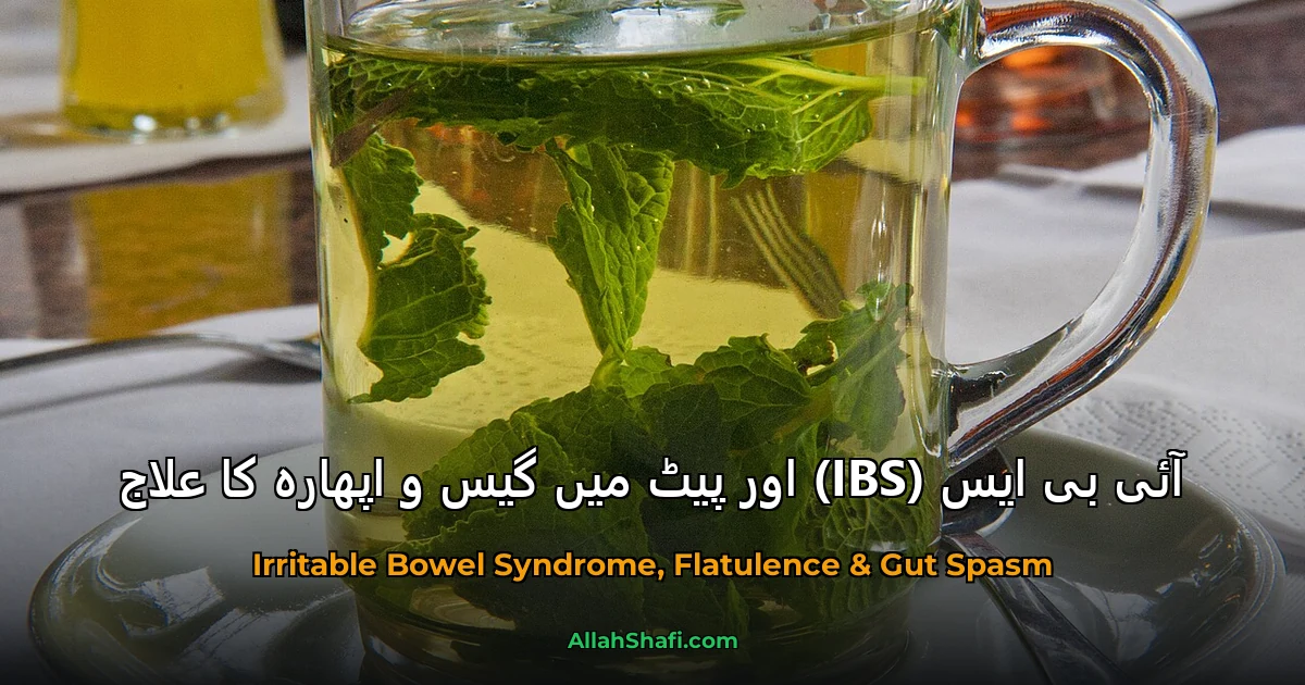 آئی بی ایس (IBS) اور پیٹ میں گیس و اپھارہ کا علاج