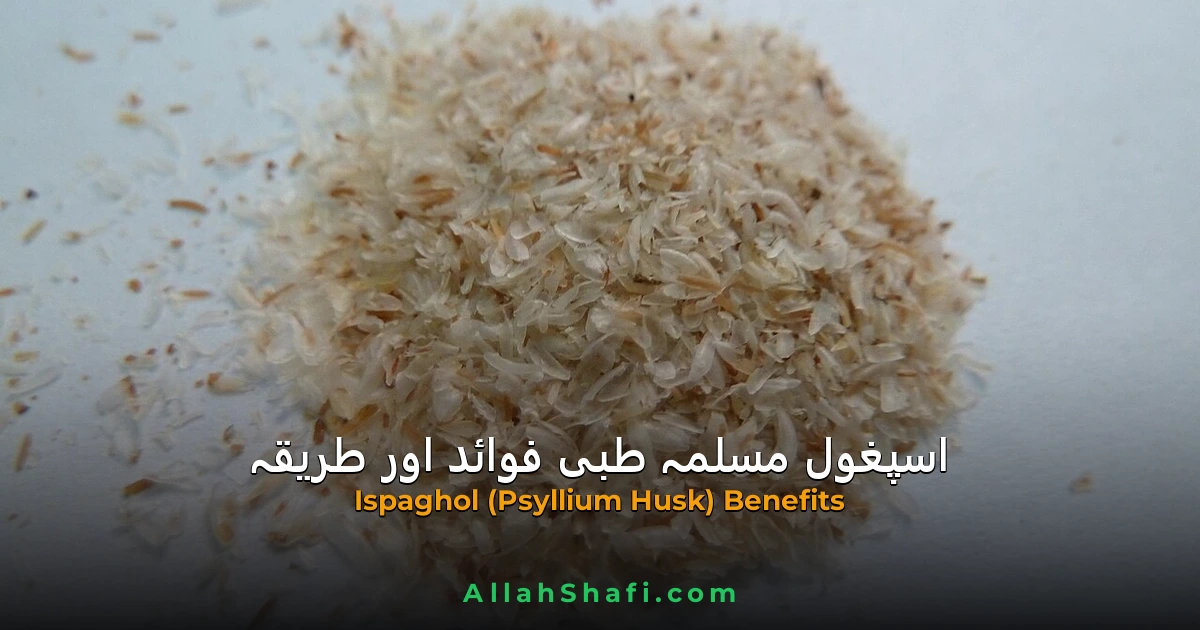 اسپغول (Ispaghol / Psyllium Husk) — معدہ، آنتوں، قبض اور کولیسٹرول کا قدرتی ہربل علاج