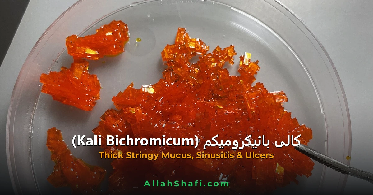 کالی بائیکرومیکم (Kali Bichromicum) — ہومیوپیتھک دوا کا مکمل تعارف