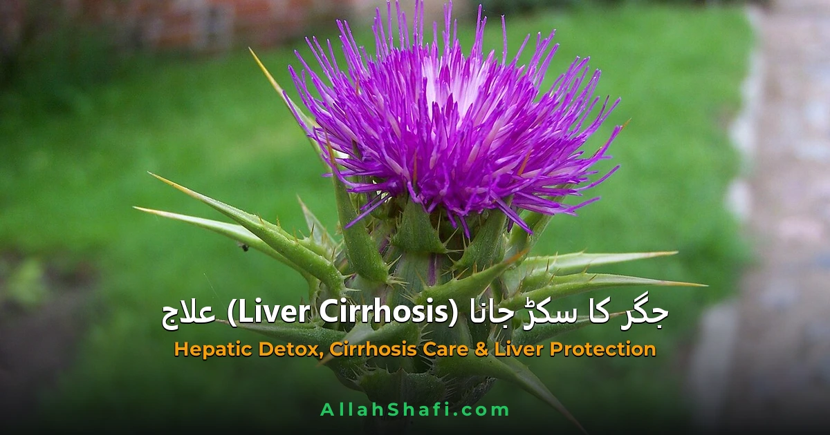 جگر کا سکڑ جانا (Liver Cirrhosis)