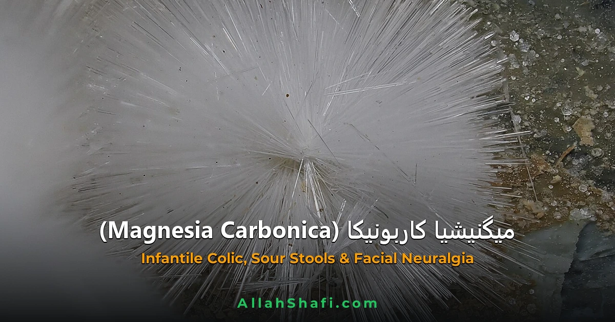 Magnesia Carbonica (Magnesia Carbonica) — ہومیوپیتھک دوا کا مکمل تعارف