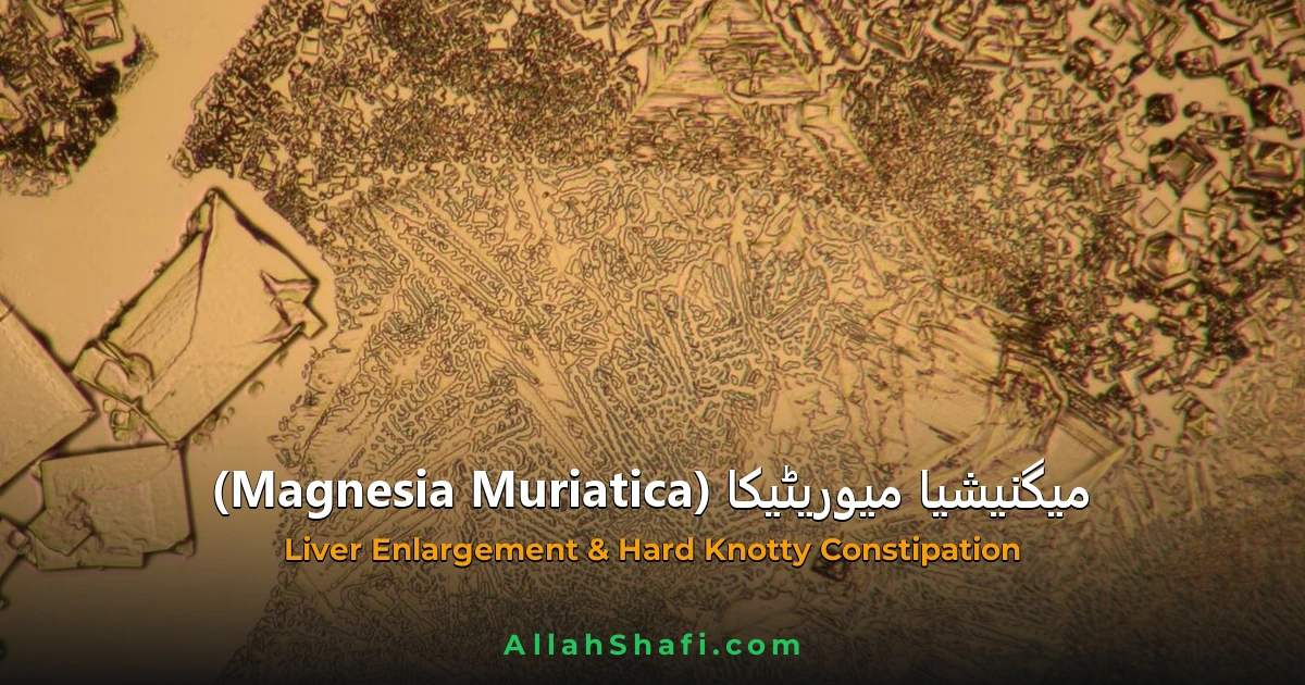 Magnesia Muriatica (Magnesia Muriatica) — ہومیوپیتھک دوا کا مکمل تعارف