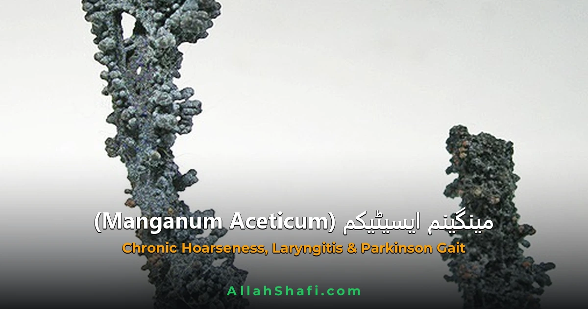 Manganum Aceticum (Manganum Aceticum) — ہومیوپیتھک دوا کا مکمل تعارف