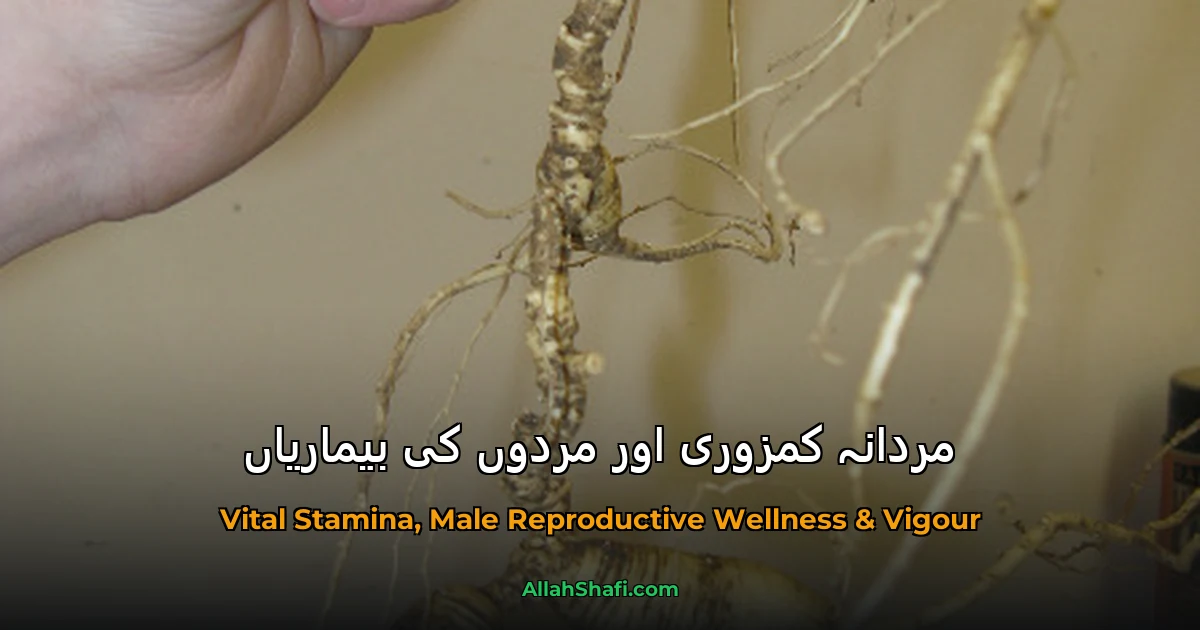 مردانہ کمزوری اور مردوں کی بیماریاں