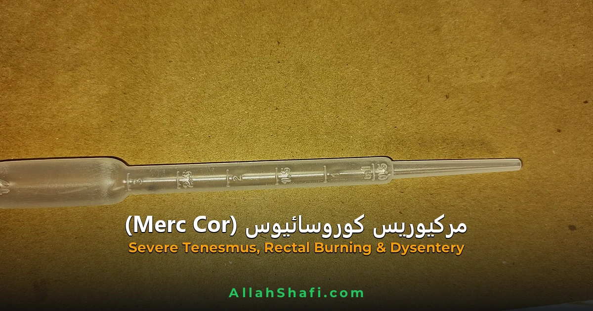 Mercurius Corrosivus (Mercurius Corrosivus) — ہومیوپیتھک دوا کا مکمل تعارف