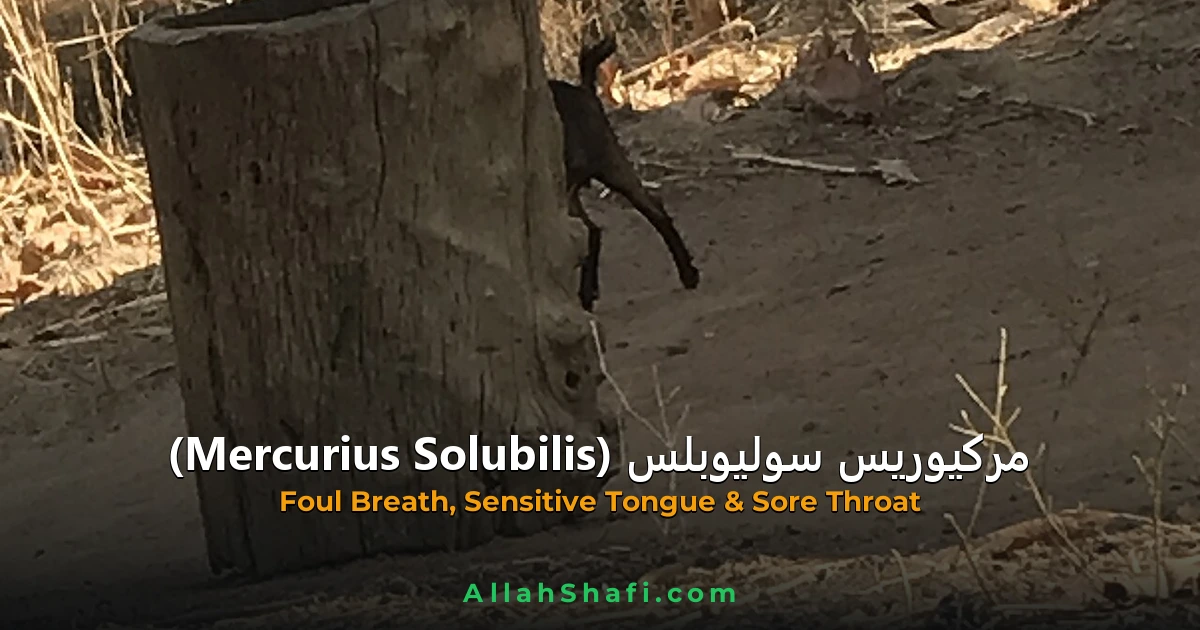مرکیوریس سولیوبلس (Mercurius Solubilis) — ہومیوپیتھک دوا کا مکمل تعارف