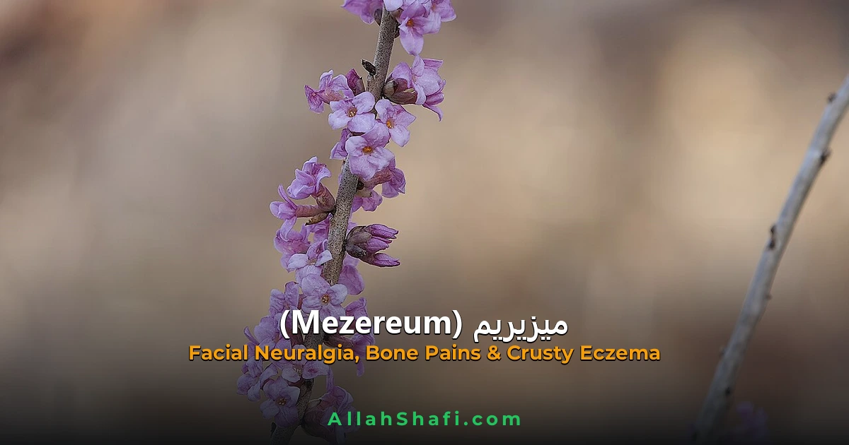 mezereum neuralgia crusty eczema ur feat