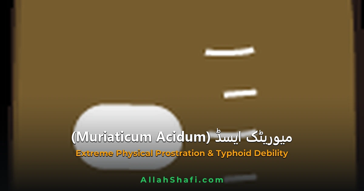 Muriaticum Acidum (Muriaticum Acidum) — ہومیوپیتھک دوا کا مکمل تعارف
