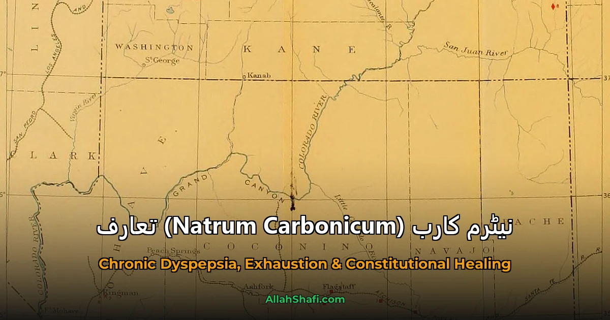 نیٹرم کارب (Natrum Carbonicum) تعارف