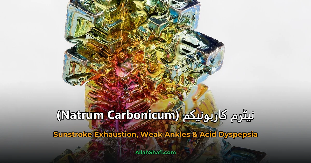 نیٹرم کاربونیکم (Natrum Carbonicum)