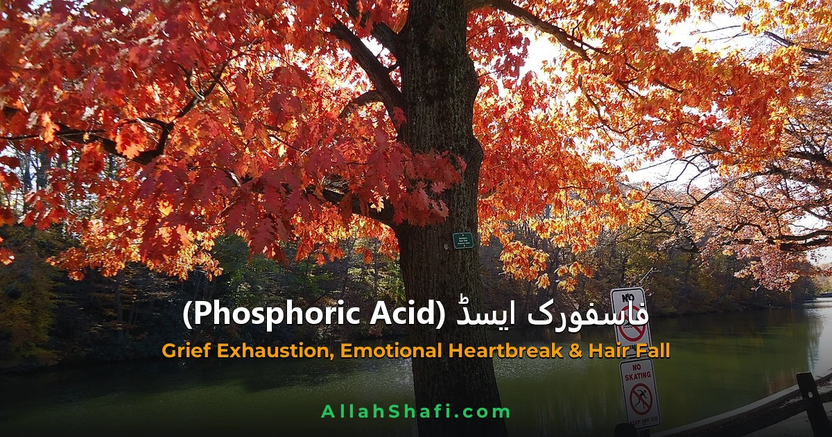Phosporic Acid  فاسفورک ایسڈ