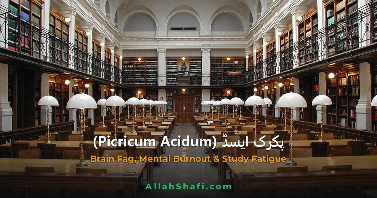 Picricum Acidum (Picricum Acidum) — ہومیوپیتھک دوا کا مکمل تعارف