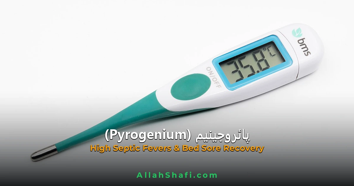 پائروجینیم (Pyrogenium) — ہومیوپیتھک دوا کا مکمل تعارف