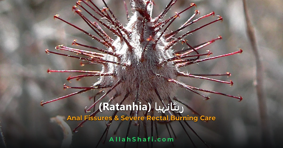 ratanhia rectal fissures relief ur feat