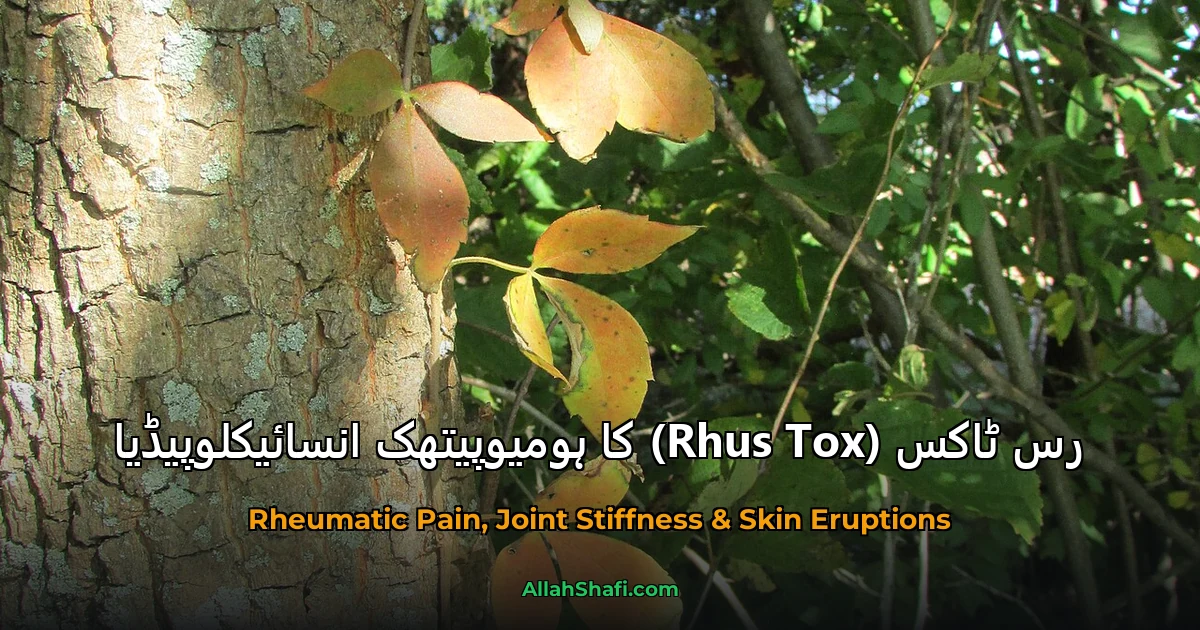 رَس ٹاکس (Rhus Tox) کا ہومیوپیتھک انسائیکلوپیڈیا