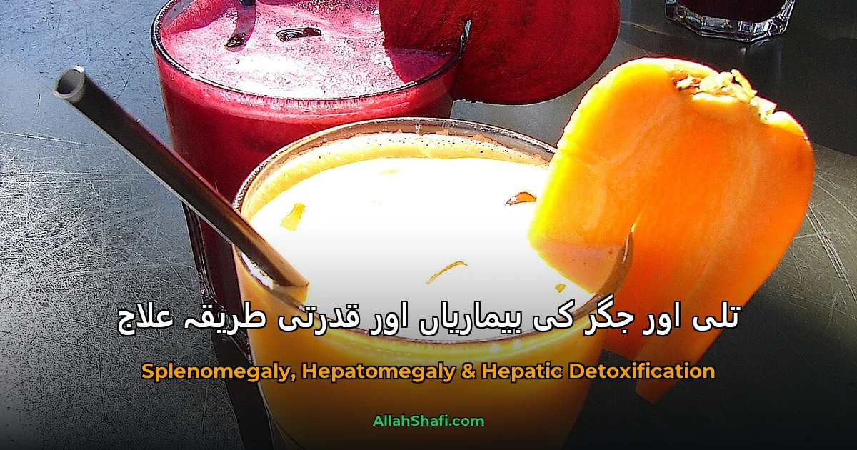 تلی اور جگر کی بیماریاں اور قدرتی طریقہ علاج