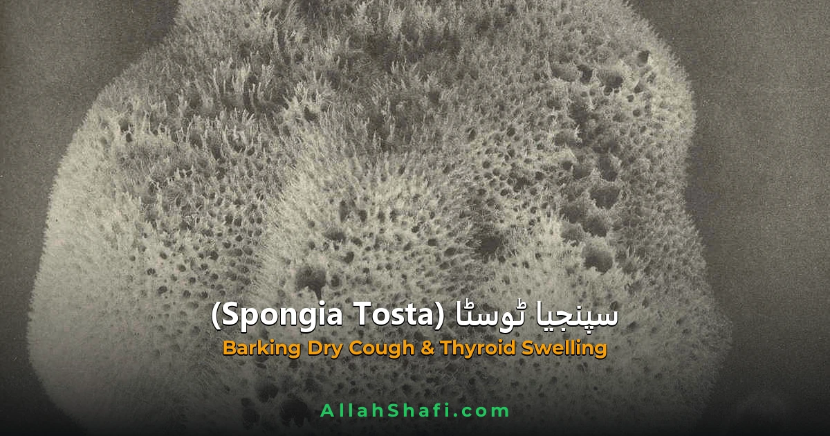 سپنجیا ٹوسٹا (Spongia Tosta) — ہومیوپیتھک دوا کا مکمل تعارف